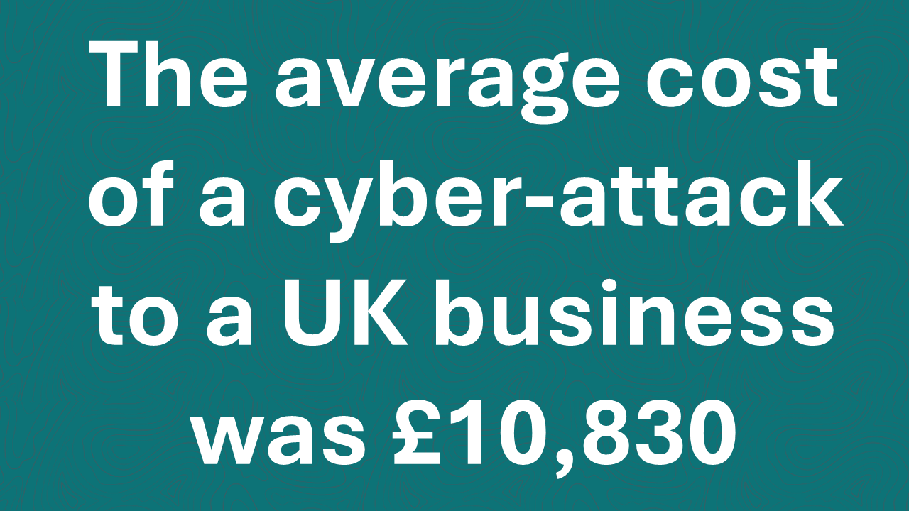 Protects Cyber Statistics 1